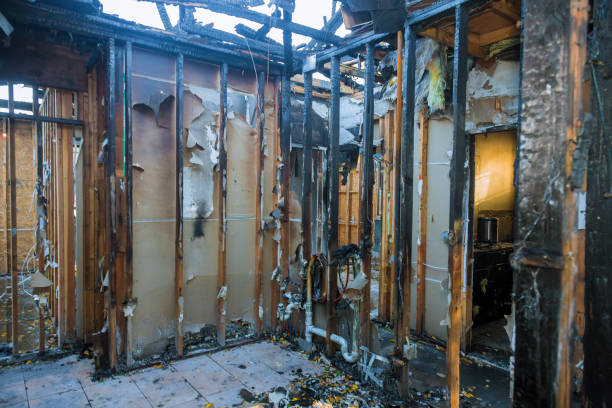Professional Fire Damage Removal technician working in Island Park, NY